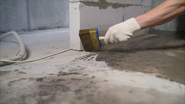 24/7 Emergency Exterior Waterproofing experts in Lakeland, GA